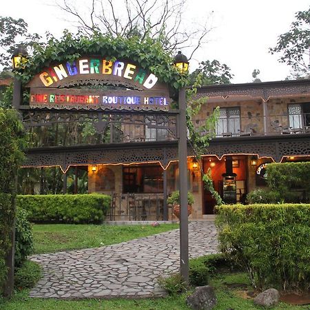 Gingerbread Restaurant & Hotel 纽沃阿雷纳尔 外观 照片